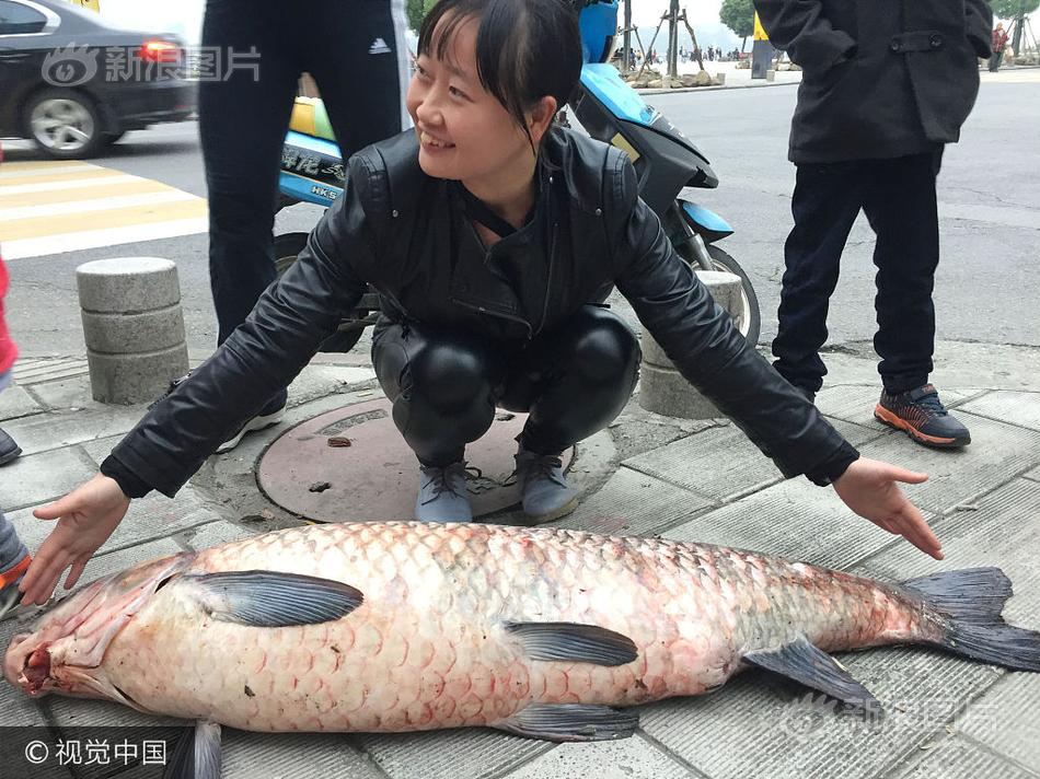 韩日三级片