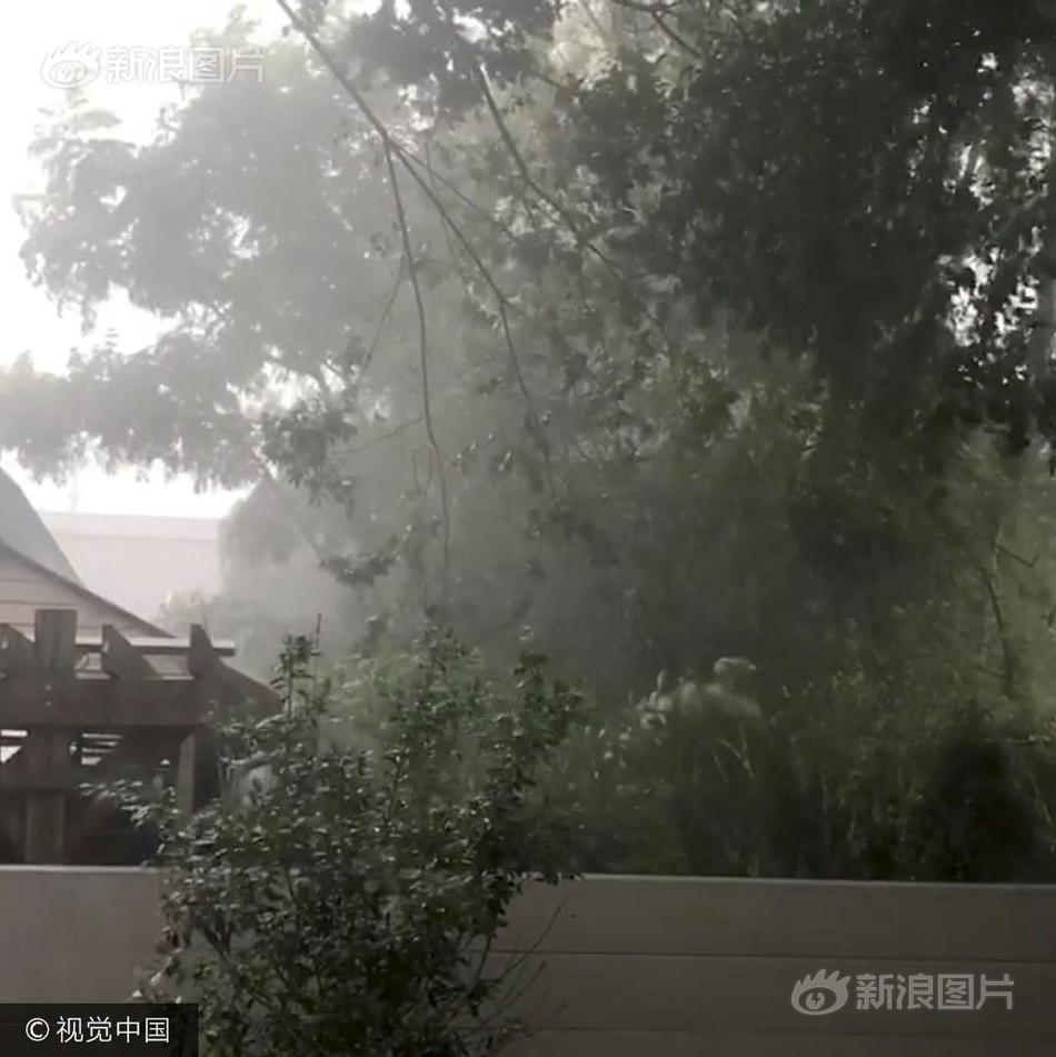 韓國情慾王朝