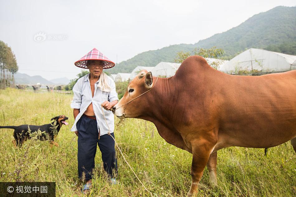 台湾一级三三级片
