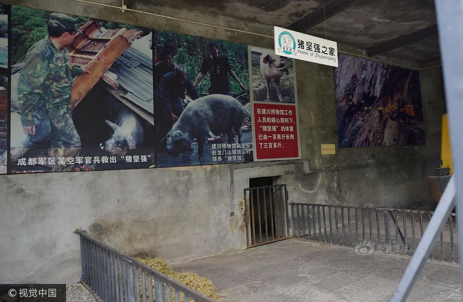 深夜黄色网站在线观看