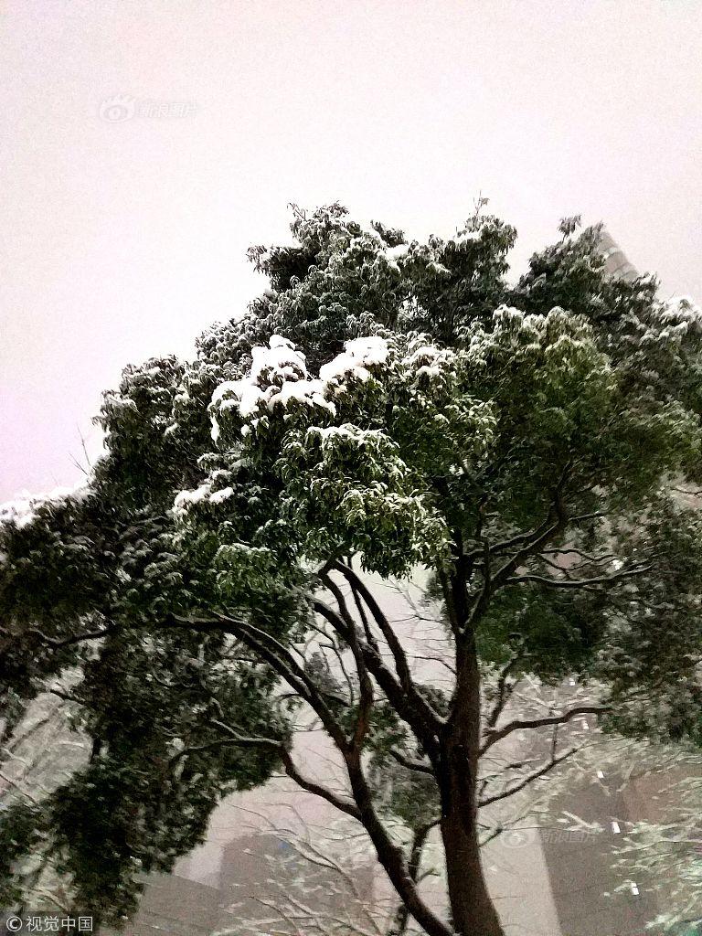 四虎永久在线