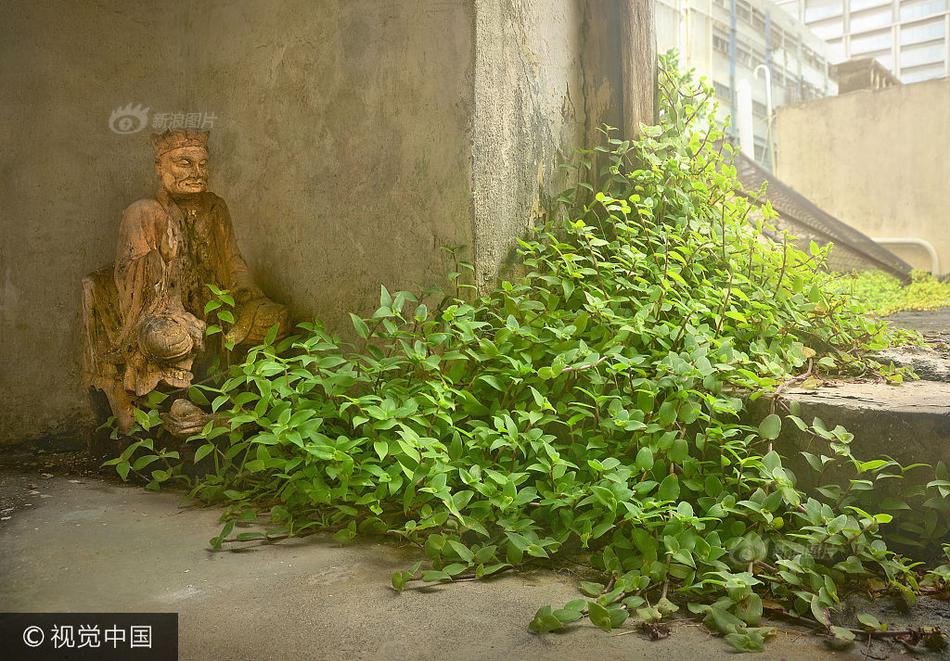 偷拍非洲Av网