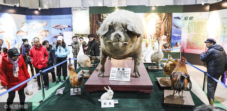 久久只有精品