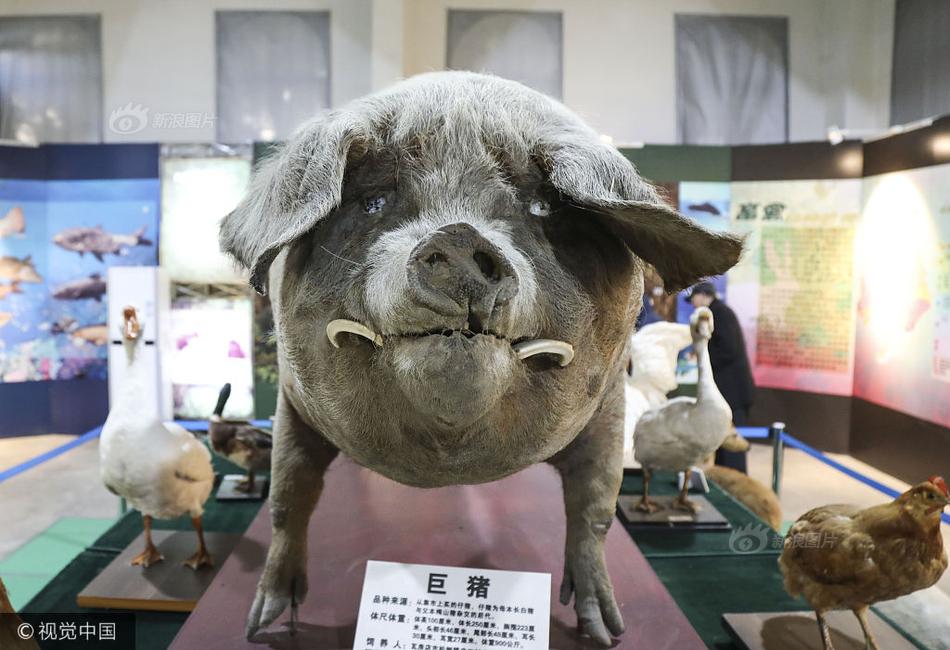 篠原冴美