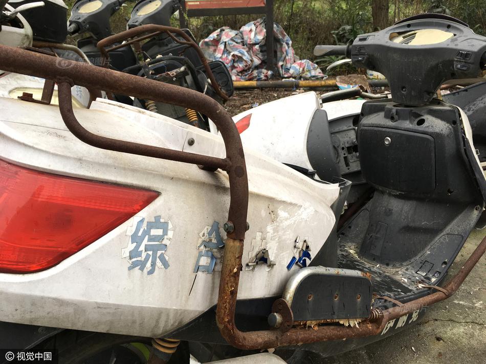 下载免费黄色网站视频