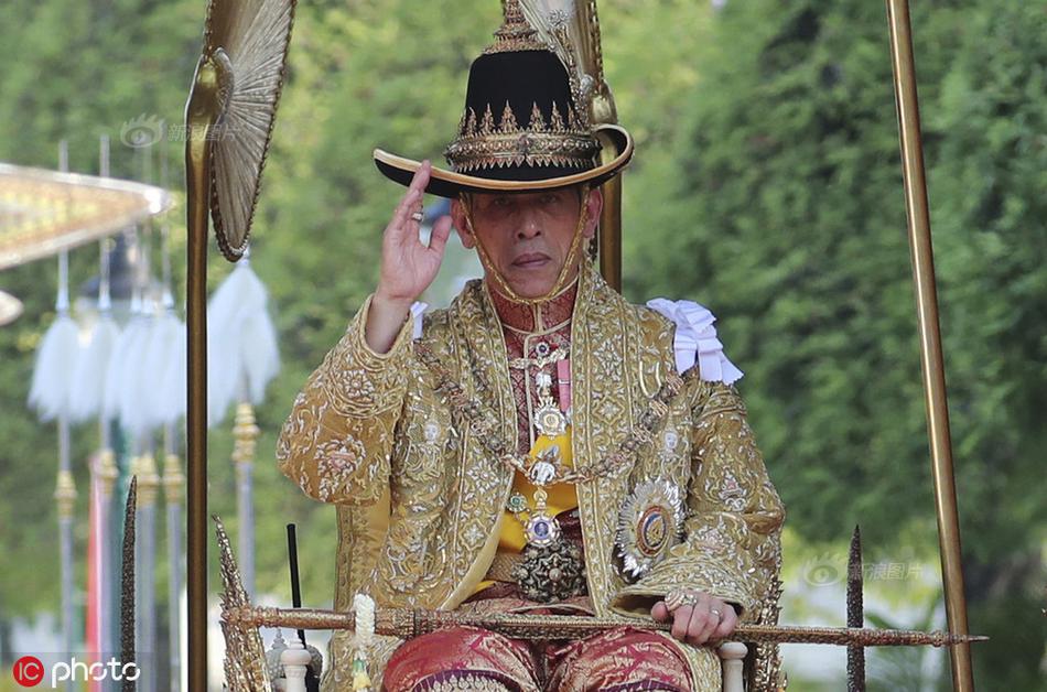 张柏芝下面毛粗毛多