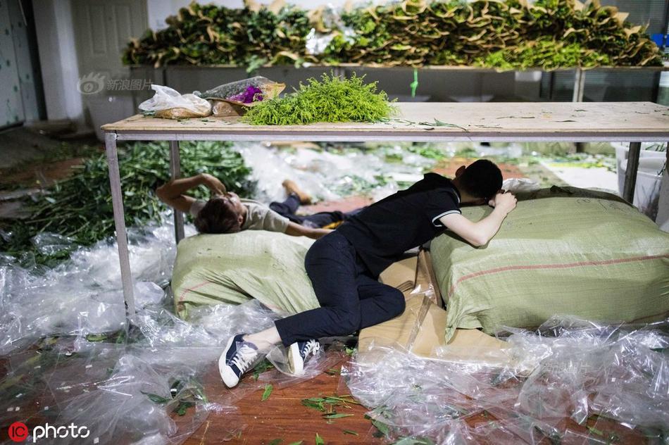 欧美色的三级