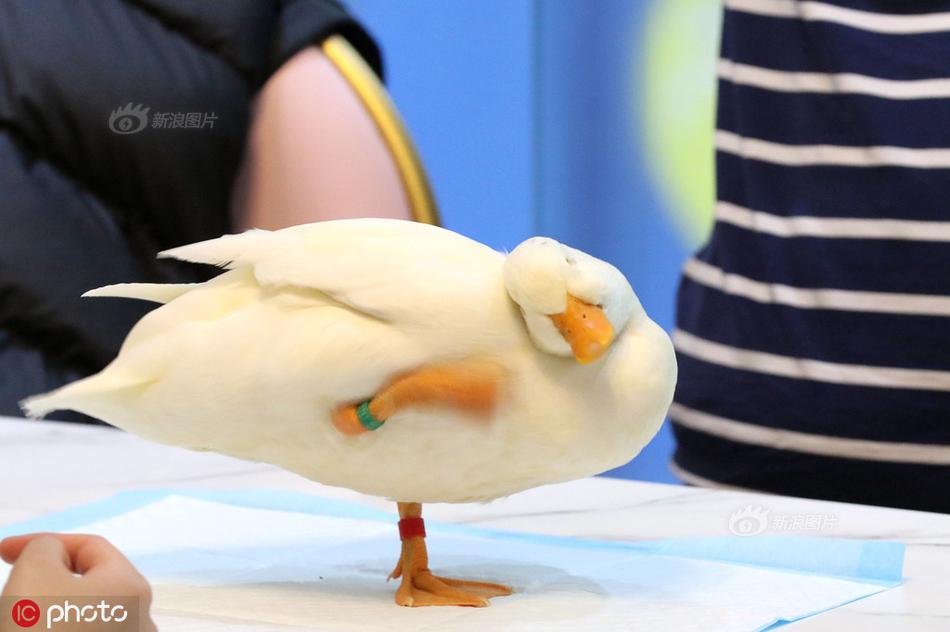 白嫩白嫩BBBBBBBBB