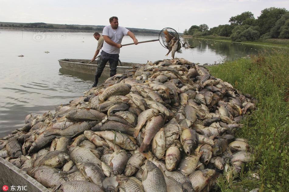 蕨菜泡了兩天還能吃嗎 