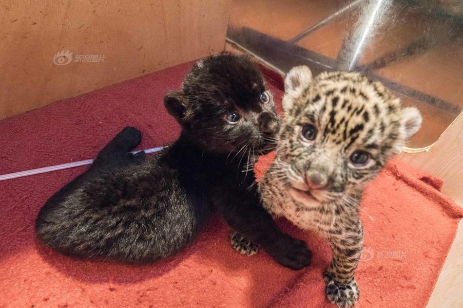 【香港好去處】2024 玩轉香港全攻略：從霓虹深處到山海盡頭，解鎖這座城市的萬種風情 