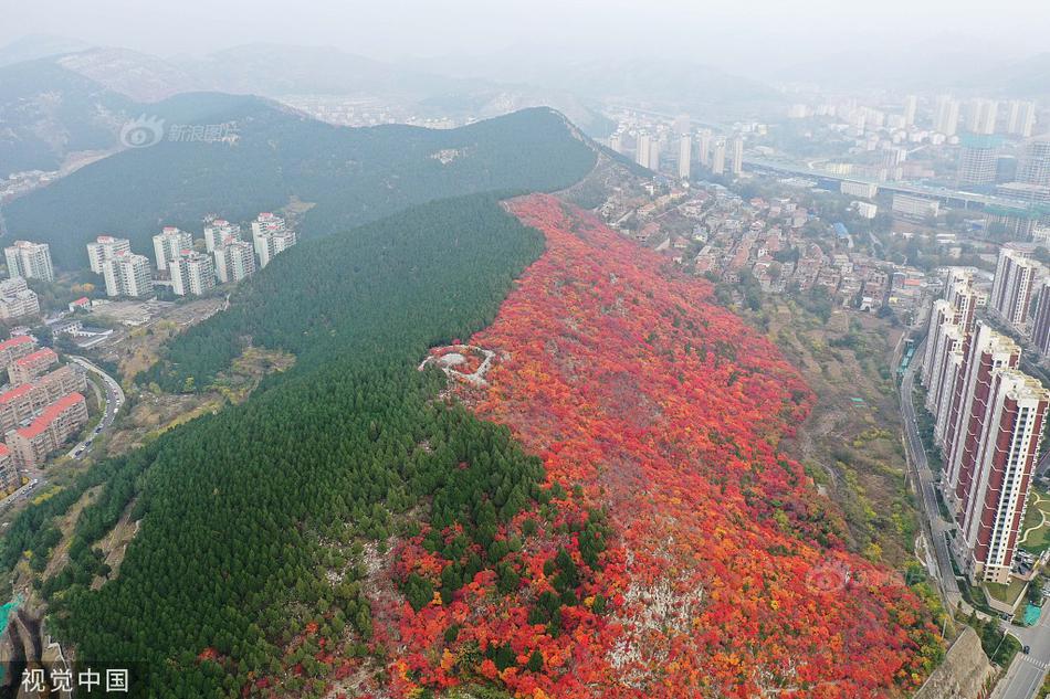肥嫩多毛的大荫户巴西