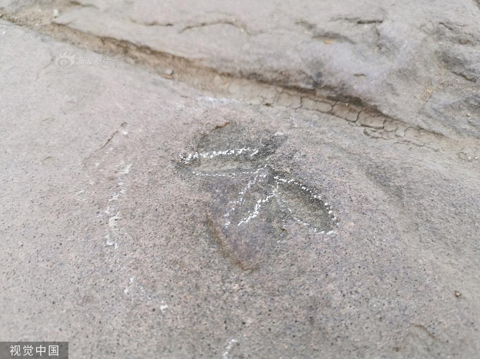 黄色在网站你免费