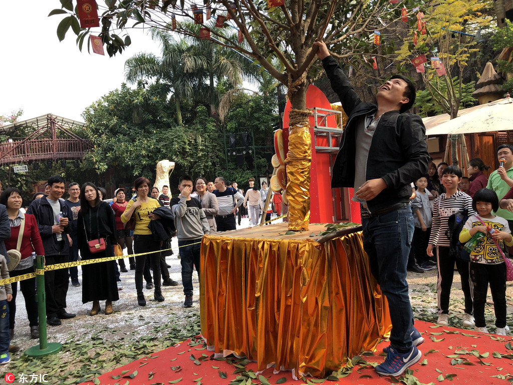 天堂中文在线资源