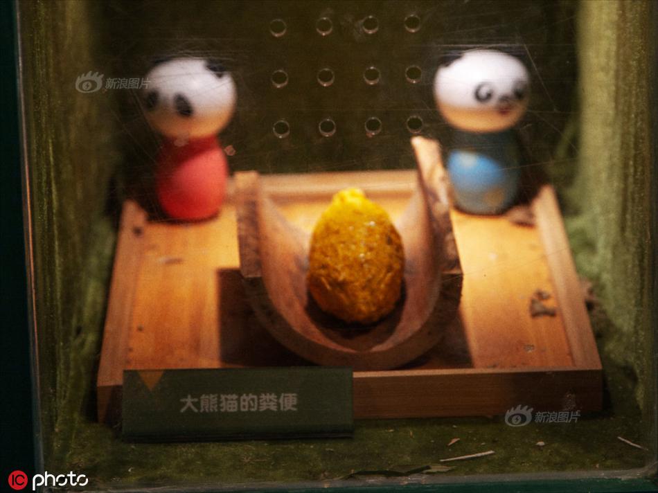 老人交性视频播放