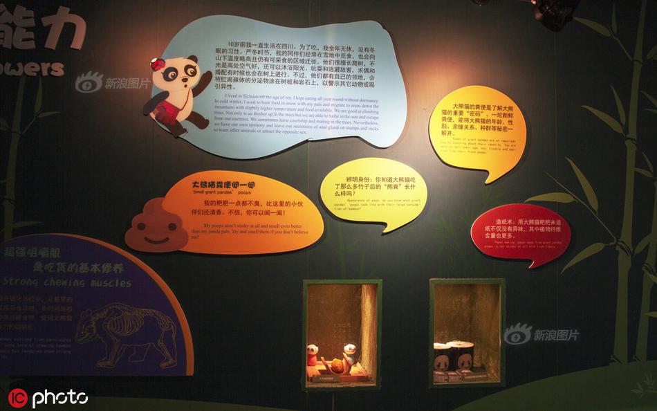 手机看片韩国伦理片
