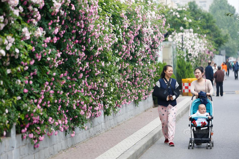 国外 免费 成人