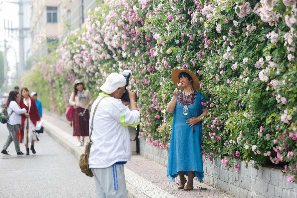 日本一区免费