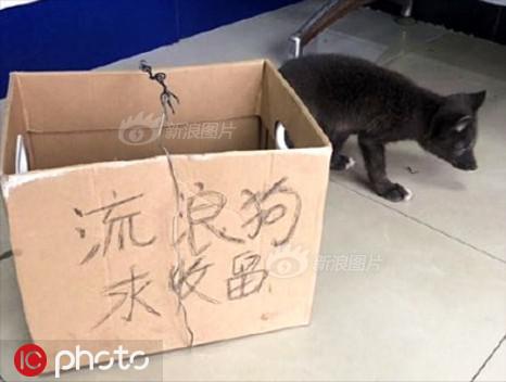 免费观看涩涩直播软件