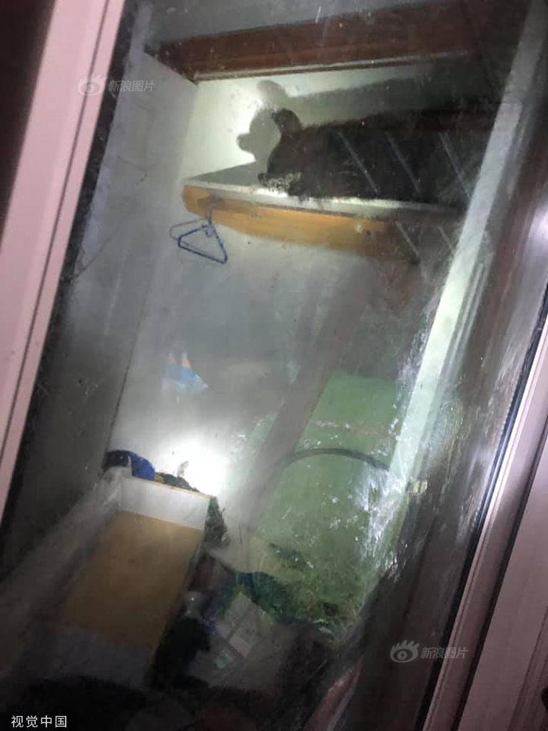 欧美性爱一级黄色电影院