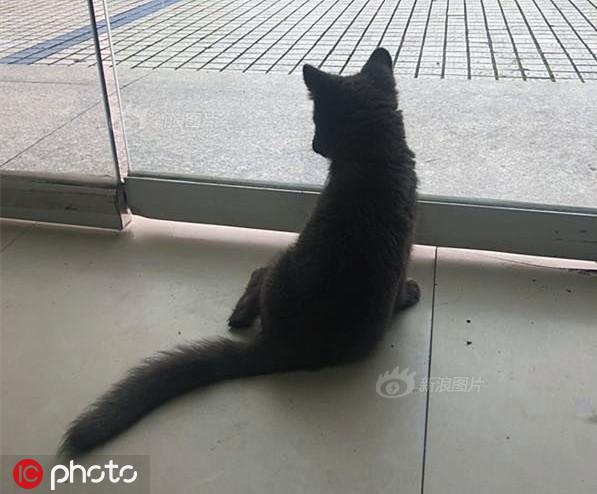 黄色生活片