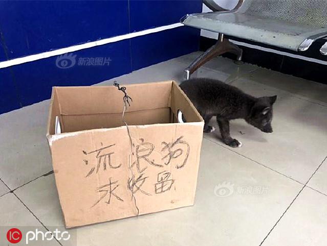 当众扒开双腿调教花蒂
