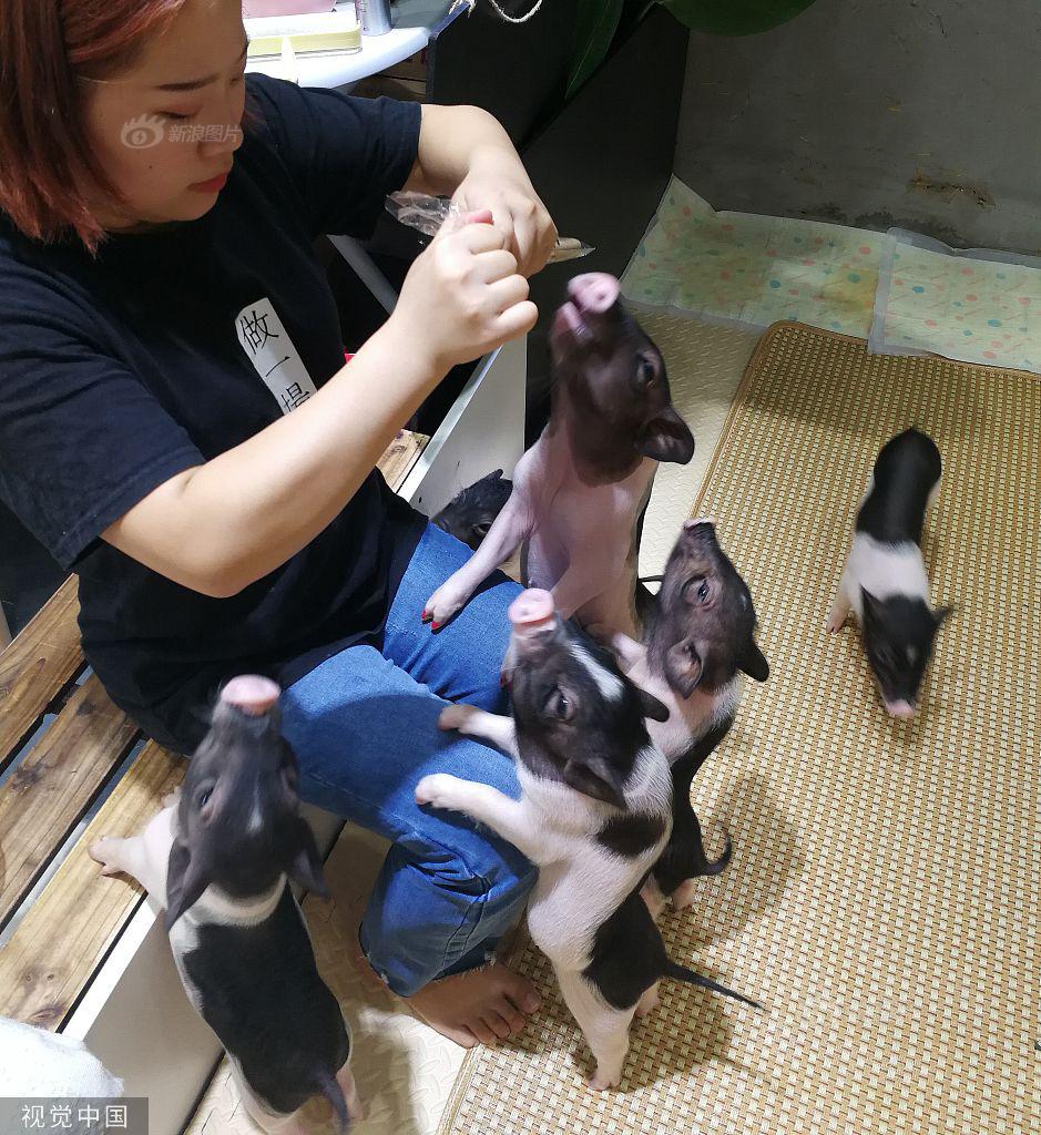 动漫被 到爽 巨乳同人