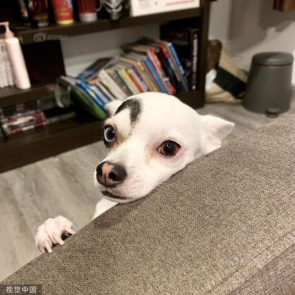 成 人片 黄 色 大 片