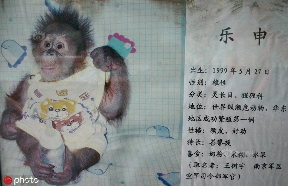 香港三级片日本三级片