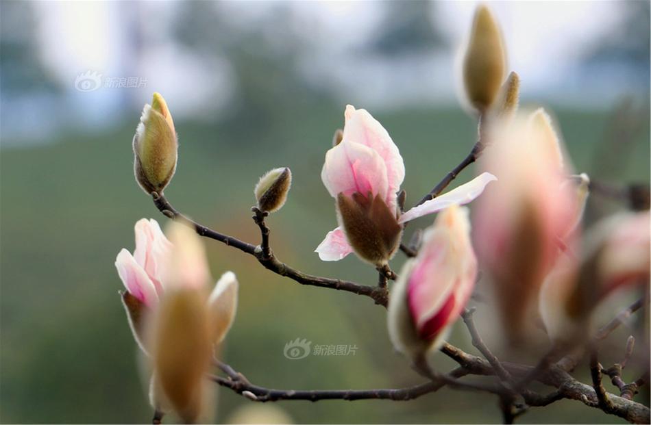 白丝校花 扒腿自慰网站