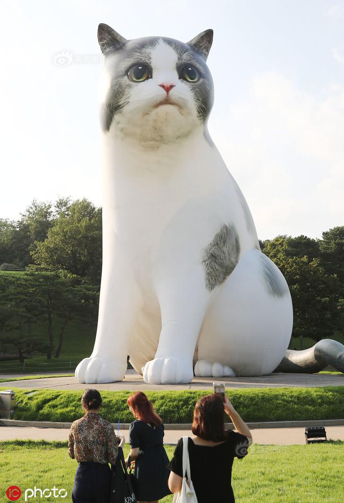 久久老司机