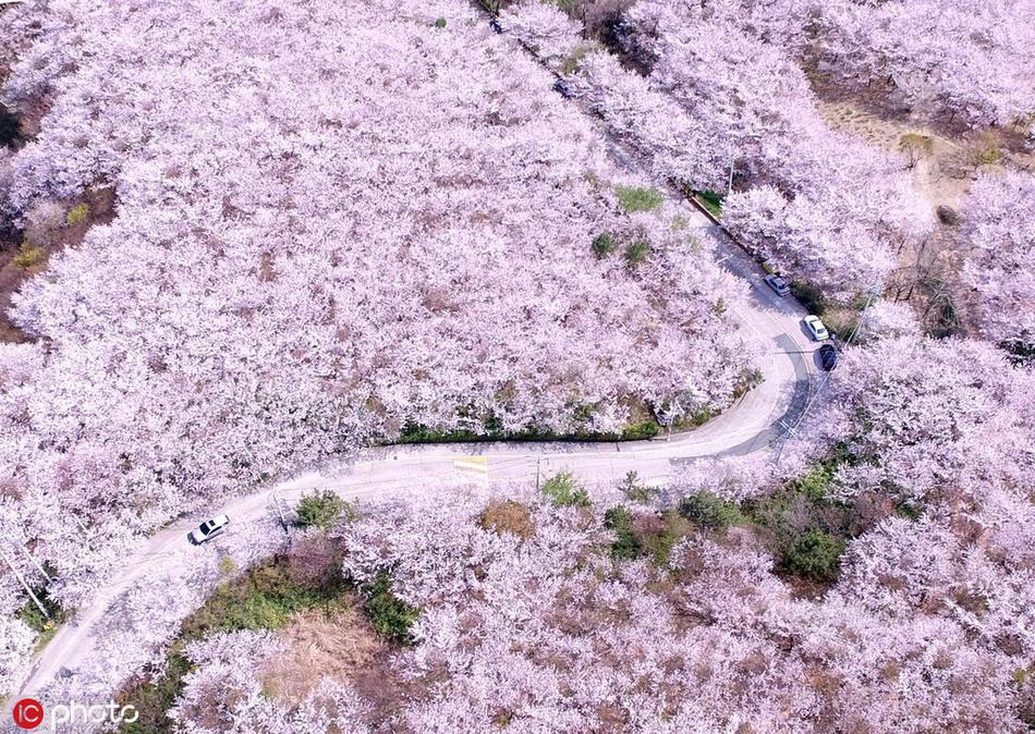 习近平总书记在深度贫困地区脱贫攻坚座谈会上的重要讲话引起强烈反响