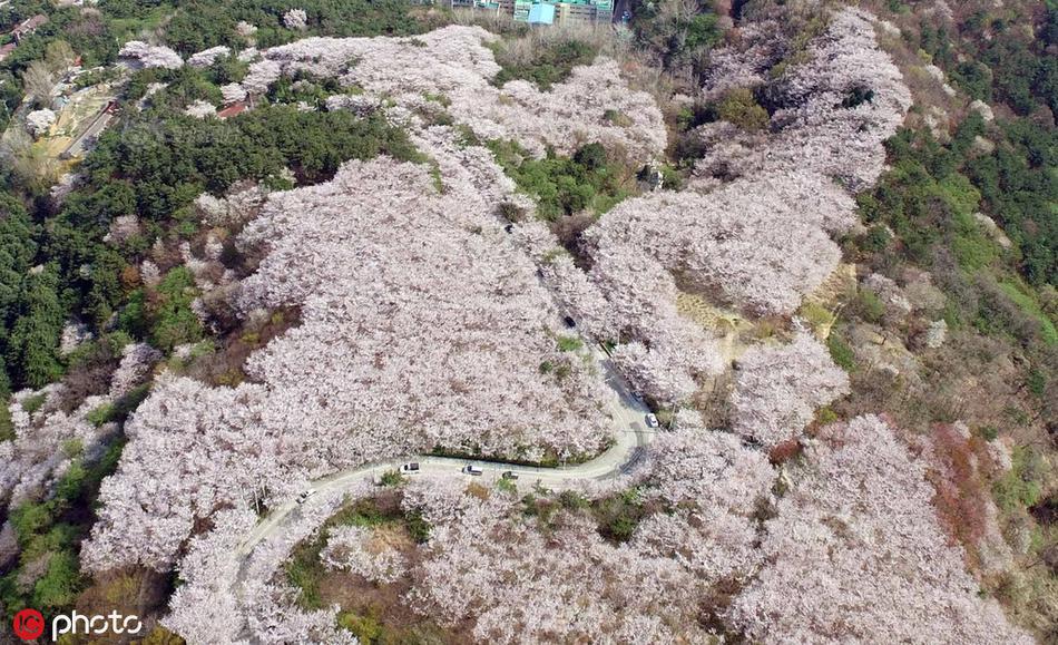 阴茎插入