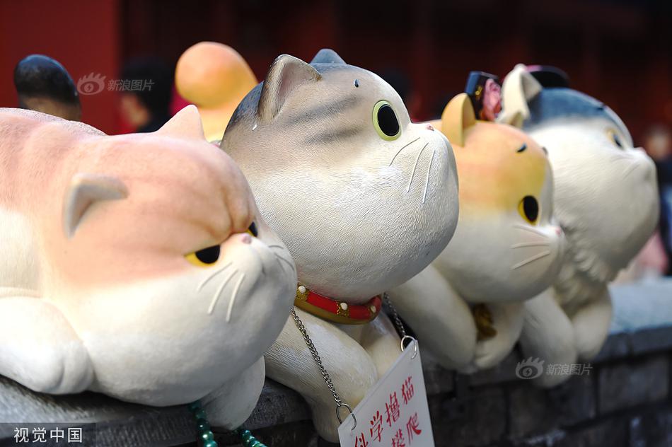 黄色视频美国