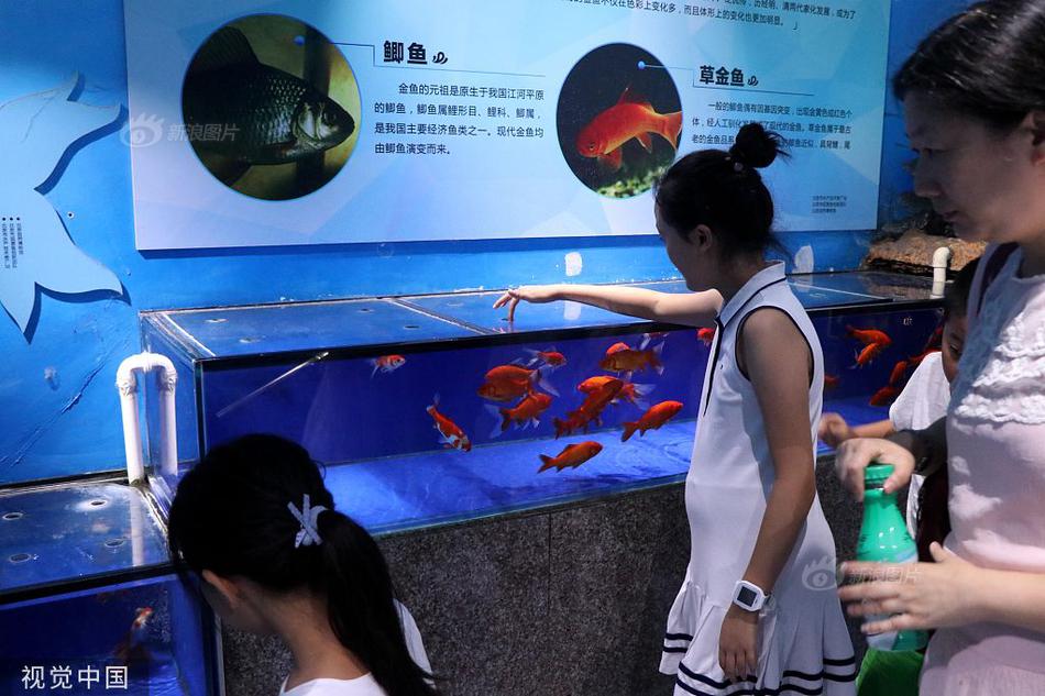 中国人性生活Hd