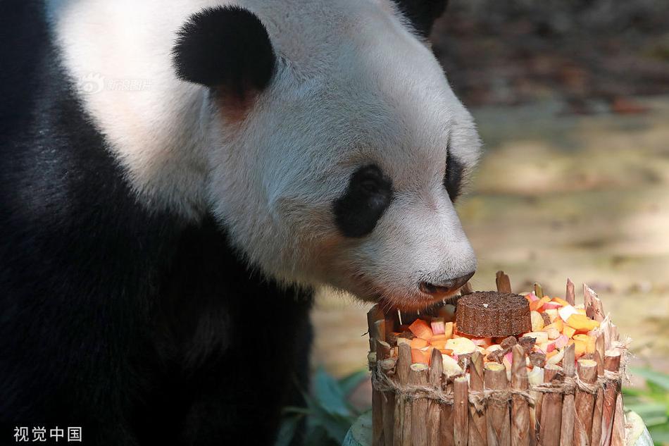 黄色视频网站在线免费下载