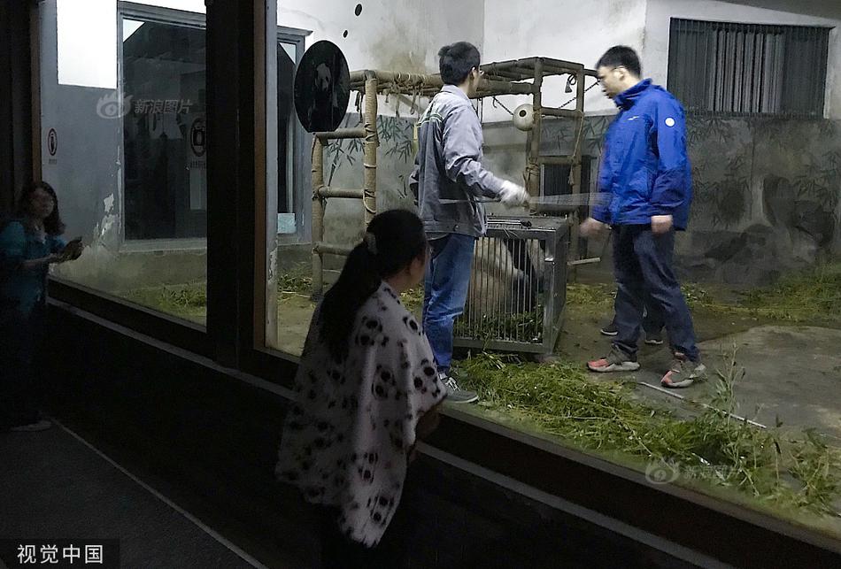 丰满少妇 麻豆av苏语棠