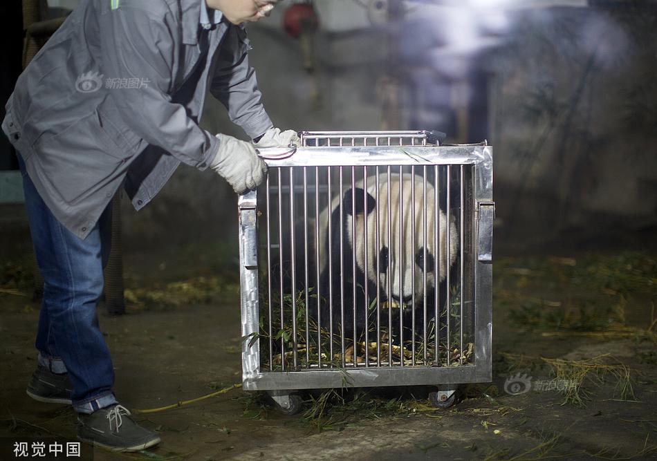 手机在线免费播放黄色视频网址