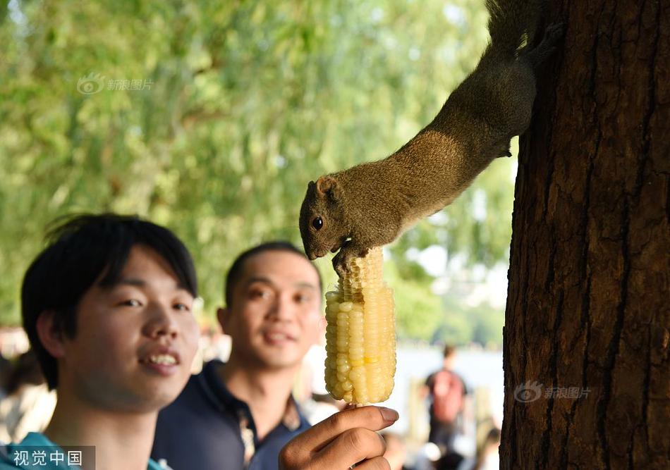 天天看欧美性生活