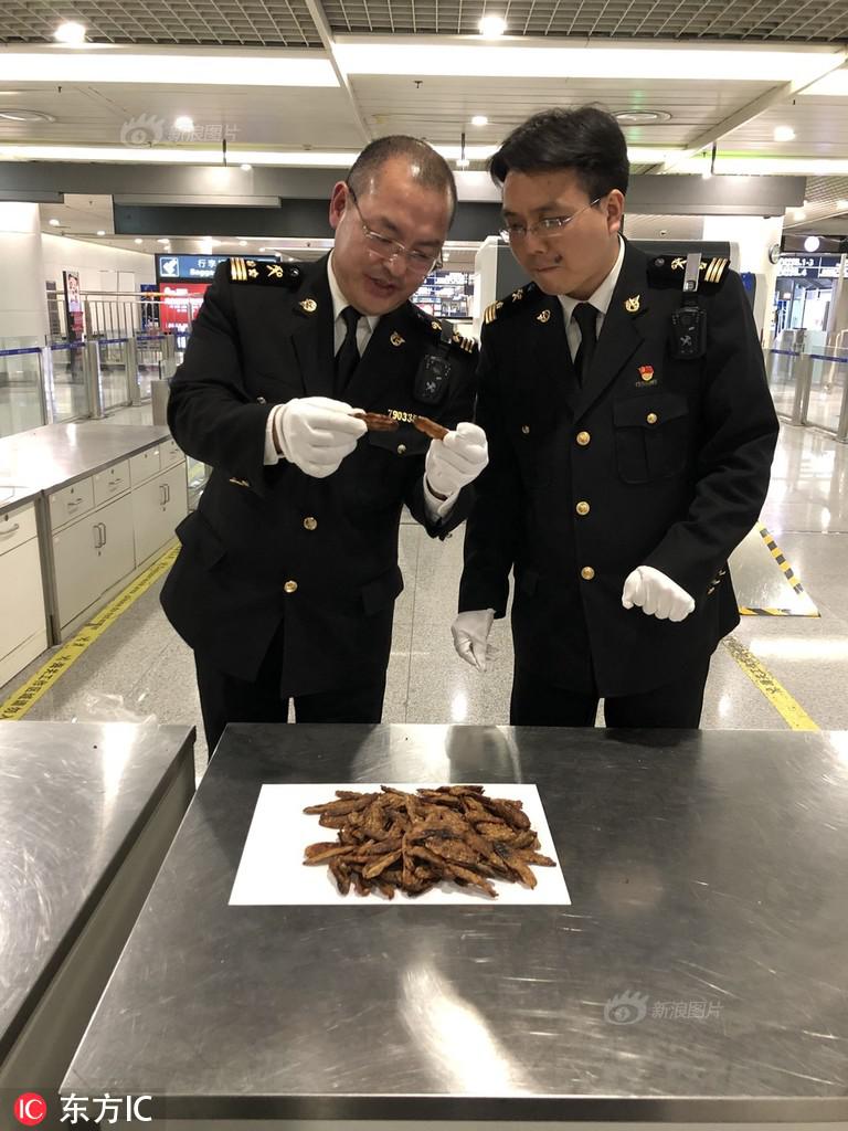 99热这里只有精品99