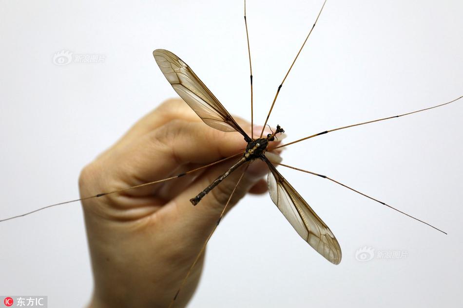 人妻在夫旁被强行侵犯