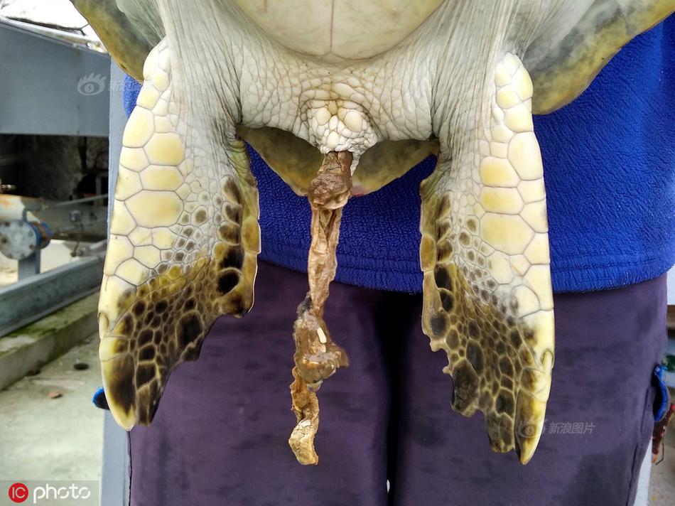 交换夫妻之黄色小说