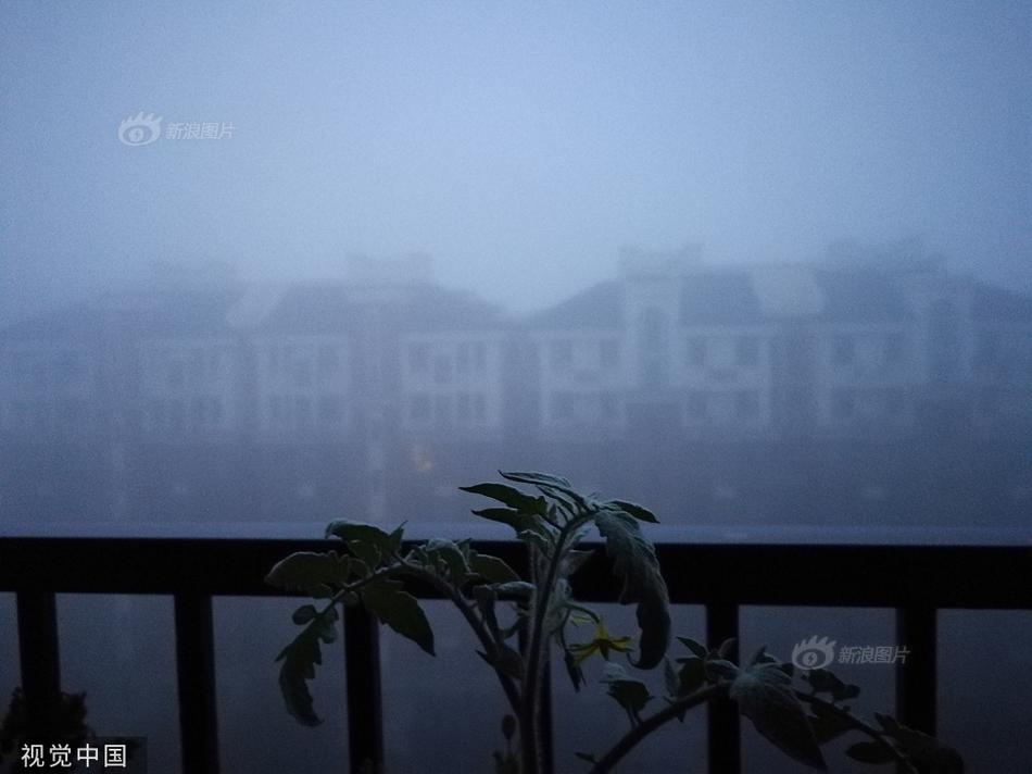 丰满成熟少妇黄少妇A级毛片