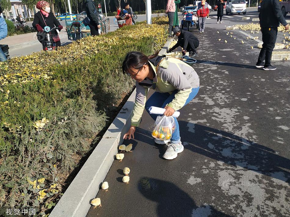 富田泰江