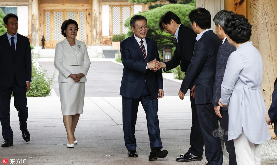 538在线视频