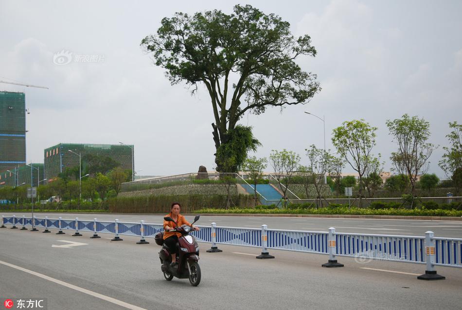 张柏芝跪下吃J8长什么样