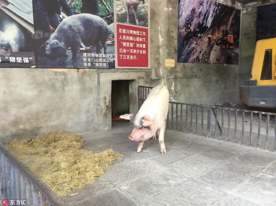 亚洲色图p