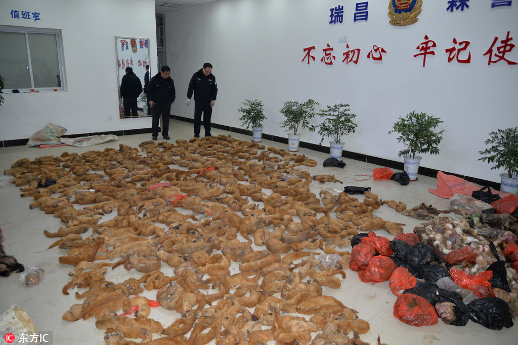 靠逼网站
