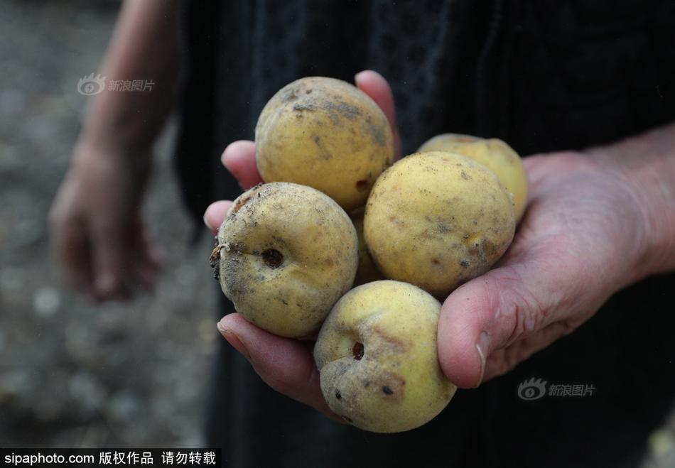 还珠野史嗯嗯H
