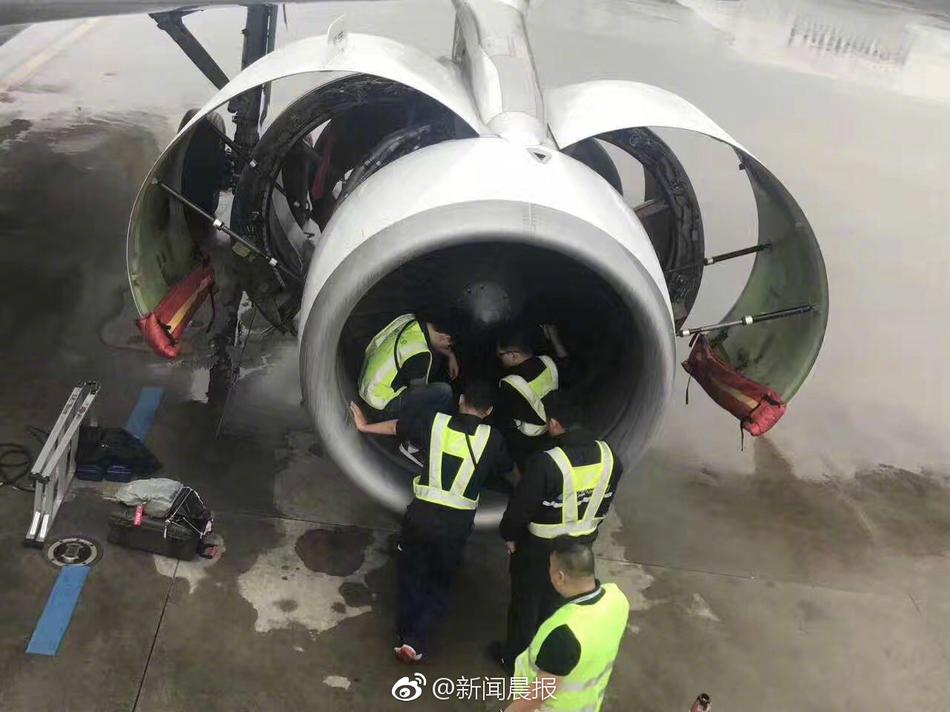 超级好看的一级黄色视频