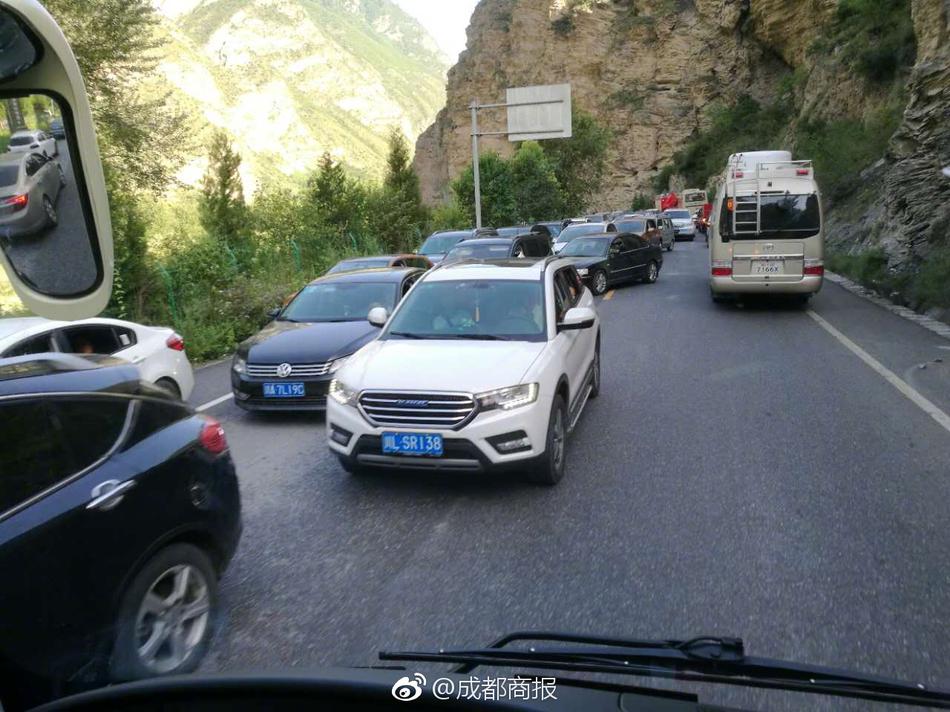 榴莲视频网站